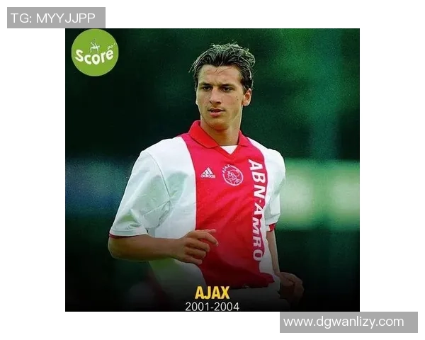 瑞典足球界的高个子明星球员盘点与成就分析