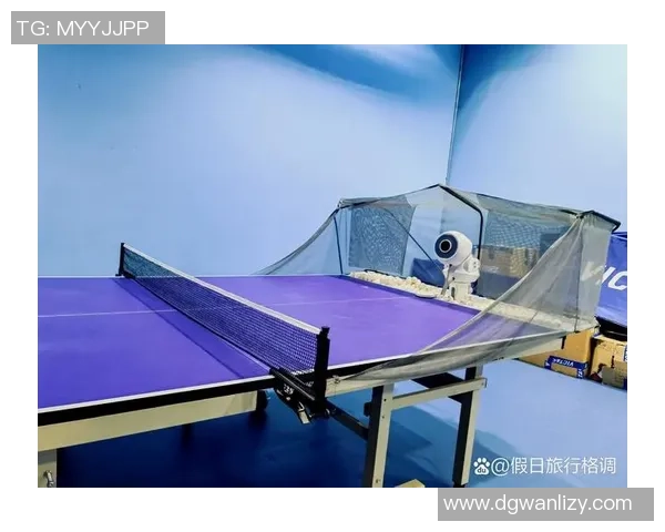 周磊独家分享乒乓球技巧与心得助你提升球技的全方位指南